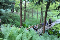 IMG-20260614-WA0007