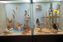IMG-20260614-WA0010