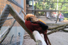 IMG-20260614-WA0013
