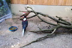IMG-20260614-WA0014