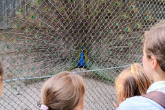 IMG-20260614-WA0015
